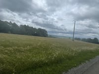 Roche-à-Frêne