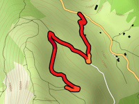 Roche Parstire