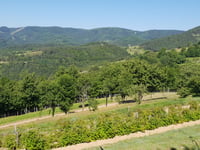 Rochepaule