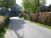 Rocherath über Auf dem Berg