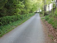Rochterach über Am Vlohs