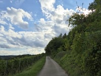 Rochuskapelle via Albach