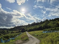 Rochuskapelle via Albach