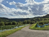 Rochuskapelle via Albach