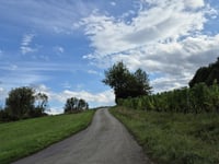 Rochuskapelle via Albach