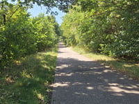Rodeberg
