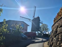 Baneberg