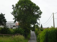 Rodeberg desde Westouter