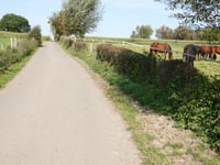 Roerbergerheide