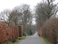 Neustrasse über Roetgenbachstrasse