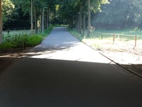 Roggekamp über Koninginnelaan