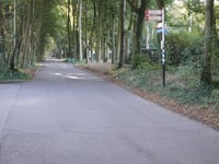 Roggekamp über Koninginnelaan