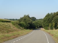 Roggekamp über Koninginnelaan