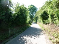 Rohrberg West