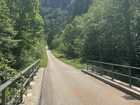 Rohrmoossattel from Hittisau