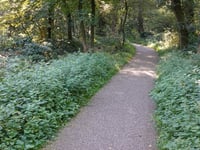 Rolandseck über W.A. Scholtenlaan