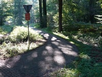 Rolandseck über W.A. Scholtenlaan