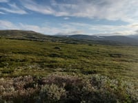 Røldalsfjellet von Røldal