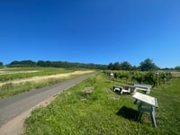 Römergrab desde Nehren
