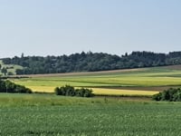 Wolfgarten depuis Bürvenich