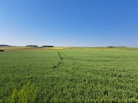 Wolfgarten depuis Bürvenich