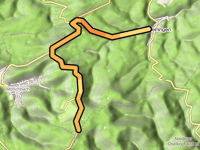 Römerstrasse im Pfälzerwald da Waldleiningen