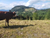 Col de Romme