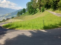 Ronachkopf von Thumersbach