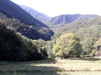 Roncapiano von Mendriso