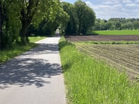 Rönneberg via Lemker Berg