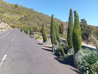Roque de los Muchachos z Santa Cruz de la Palma