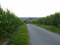 Roruper Berg von Fleisenbach