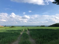 Roruper Berg from Gladbeck