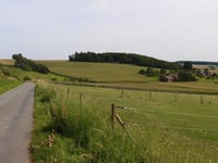 Roruper Berg from Mühlenweg
