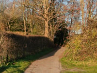 Rosandepolder