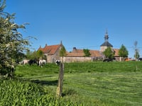 Rosenberg über Rue du Rosemberg