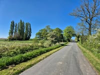 Rosenberg über Rue du Rosemberg