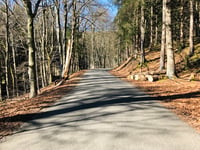 Col du Rosier