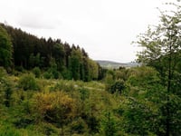 Col du Rosier