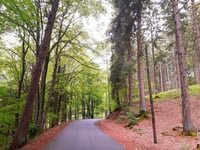 Col du Rosier