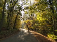 Col du Rosier da Spa