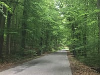 Col du Rosier da Spa