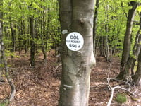 Col du Rosier da Spa