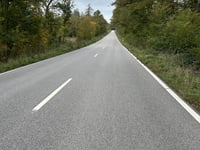 Röspelkopf von Geisenheim
