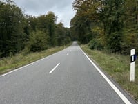 Röspelkopf von Geisenheim