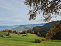 Rossberg desde Schindellegi