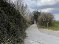 Rot über Broekveld