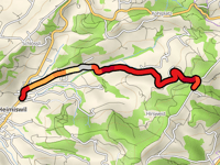 Rotenbaum von Heimiswil
