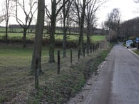 Rott z Vijlen