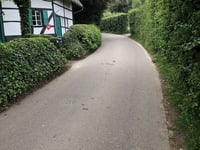 Rott z Vijlen